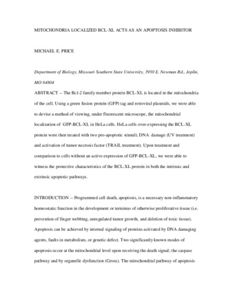 vital_11327+SOURCE1+SOURCE1.0.pdf